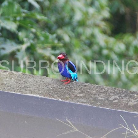 Rumah Lereng Bandung Exterior foto